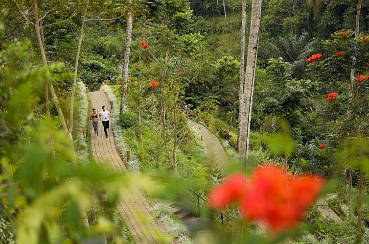 Padma Resort Ubud