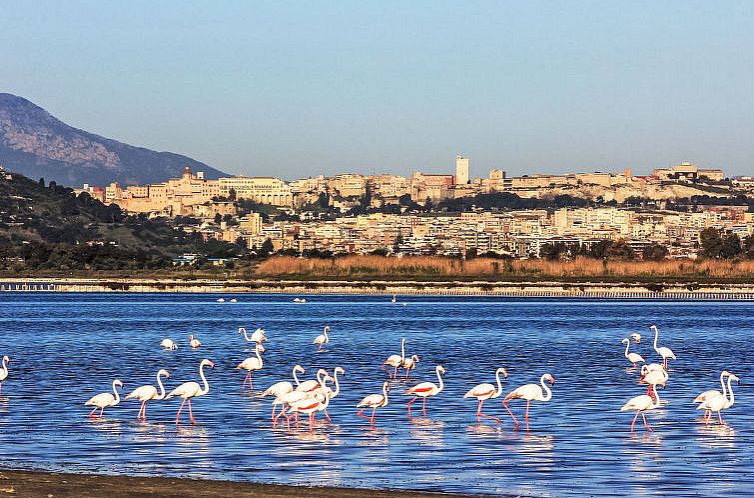 Vakantiehuis Cagliari Centro