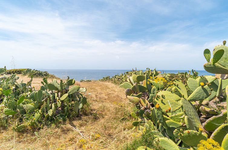 Appartement Ananas 4 D