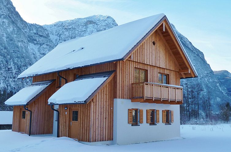 Luxery Salzkammergut Chalet A