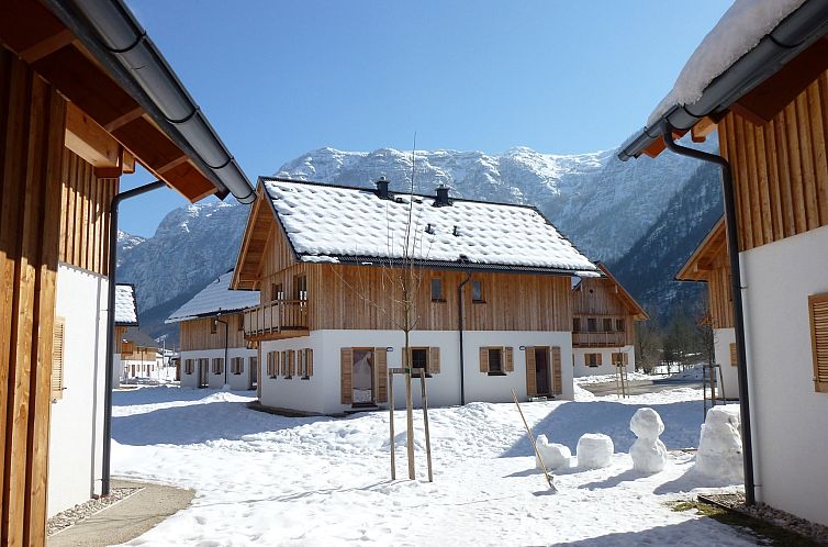 Luxery Salzkammergut Chalet A