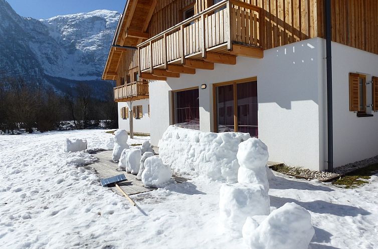 Luxery Salzkammergut Chalet E