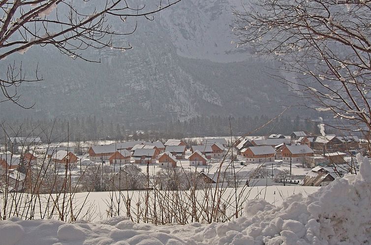 Luxery Salzkammergut Chalet E