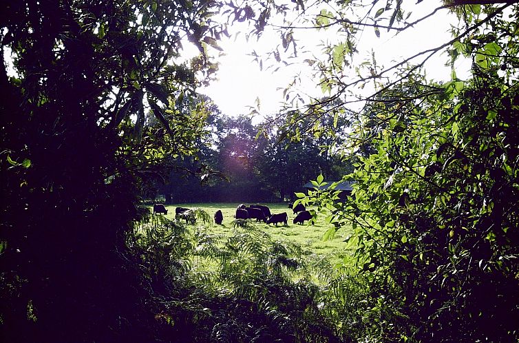 Ferienwohnung auf dem Biobauernhof