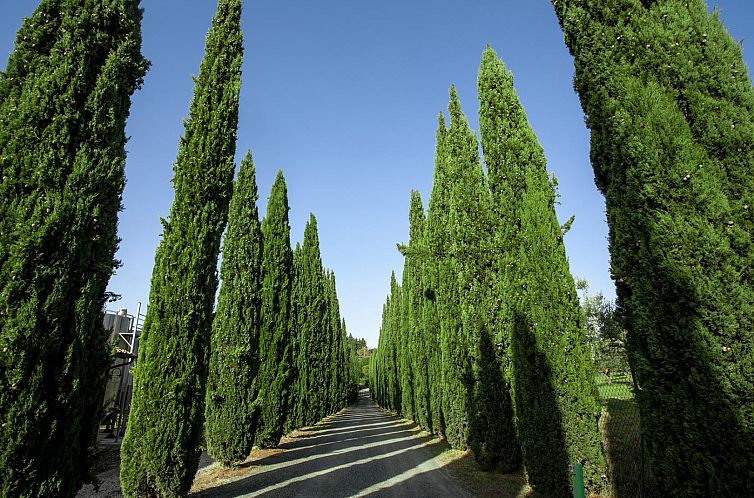 Agriturismo Borgo San Lorenzo