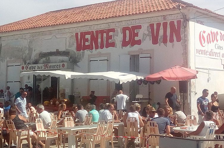 Mas des Vignes