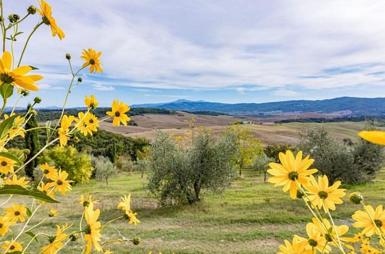 Agriturismo Murlo