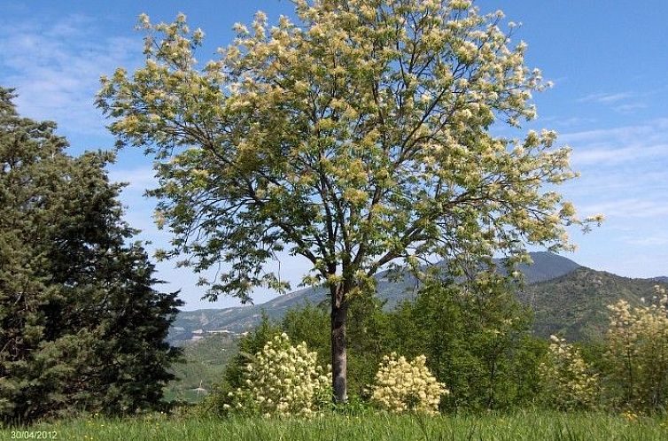 Vrijstaande woning in Marche, Italië