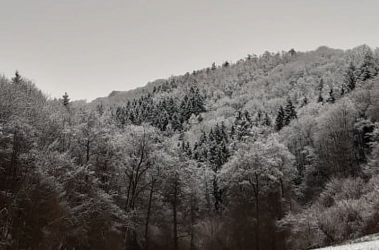 Huisje in La roche-en-ardenne