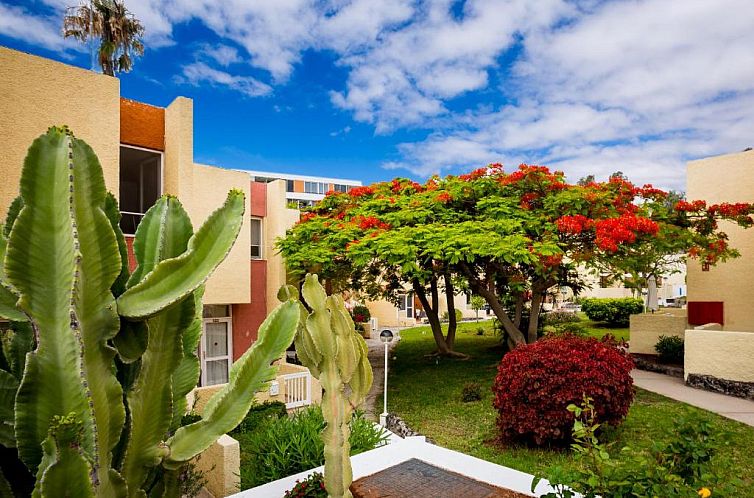 Apartamentos El Cortijo