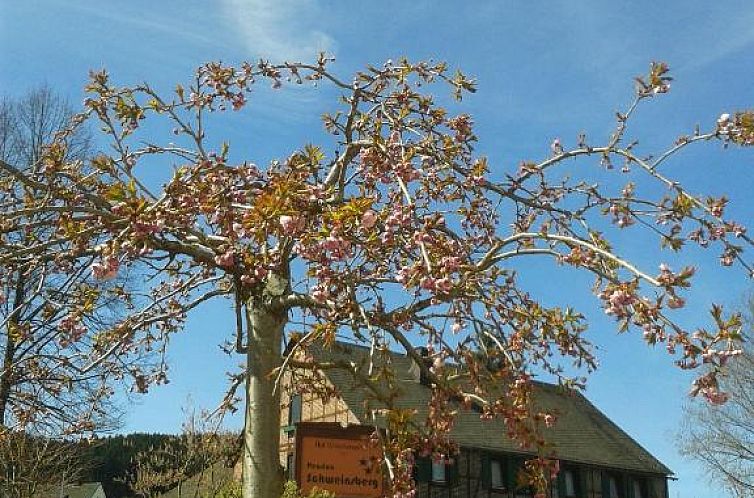 Pension und Ferienwohnungen Schweinsberg