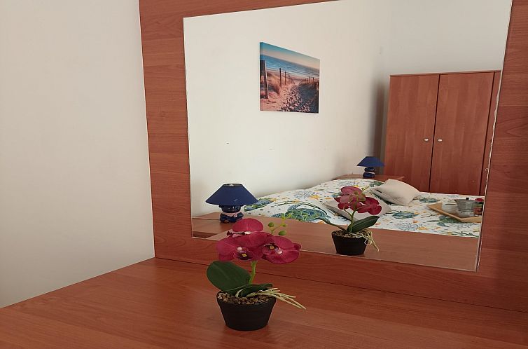 Apartment Biondic A1