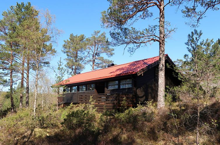 Vakantiehuis Sandvikfjellet