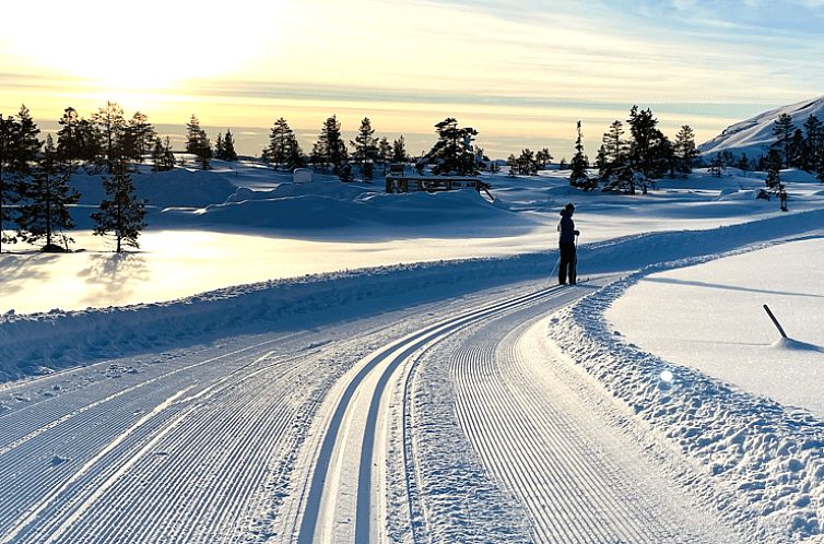 Huisje in Vrådal