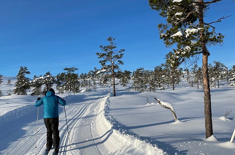 Huisje in Vrådal