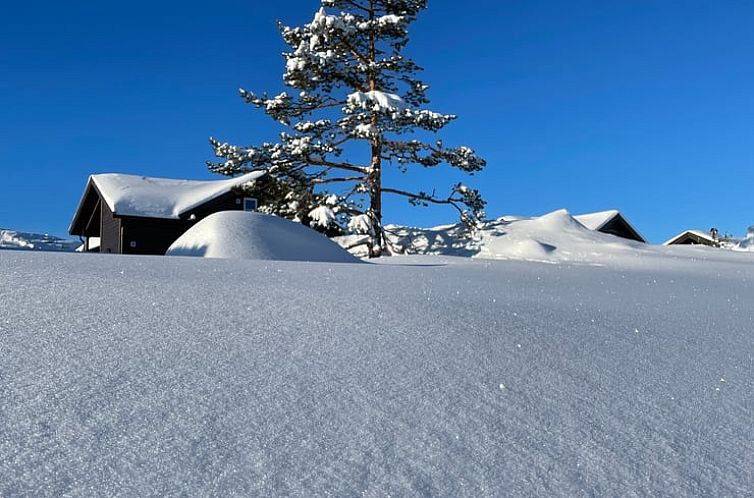 Huisje in Vrådal