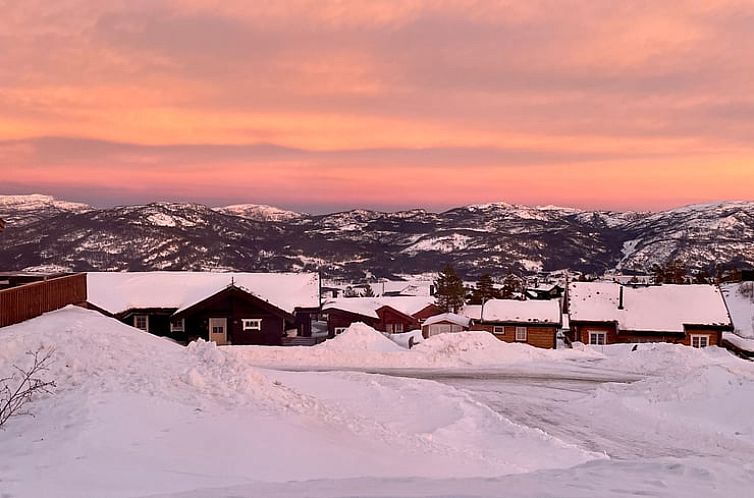 Huisje in Vrådal