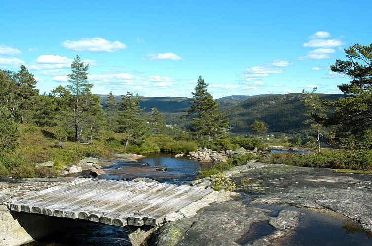 Vakantiehuis Torfinnbu