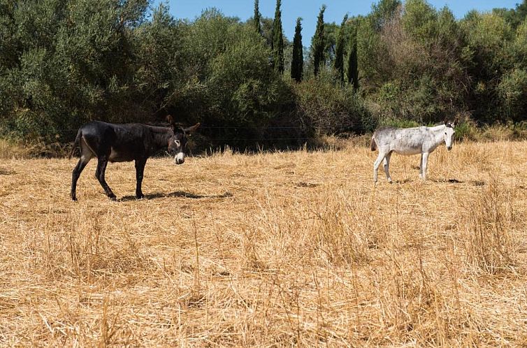 Agroturismo Can Feliu