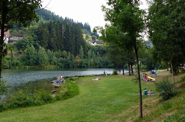 Schwarzwald-Ferienwohnungen Begert