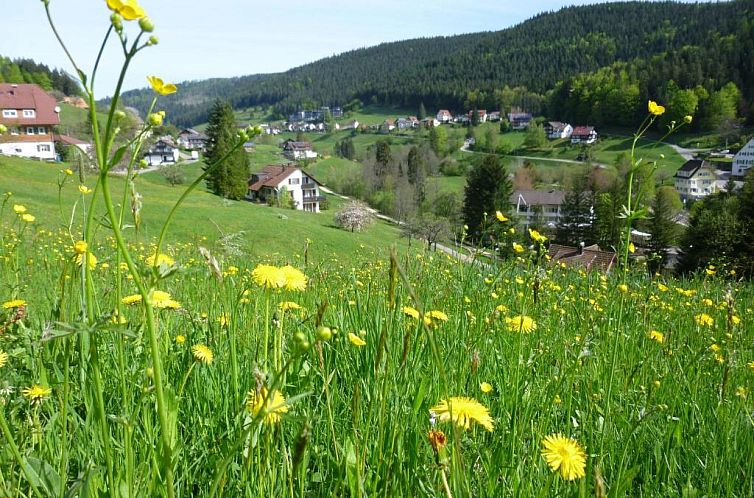 Schwarzwald-Ferienwohnungen Begert