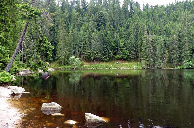 Schwarzwald-Ferienwohnungen Begert