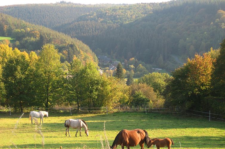 Chalet de la Vallée