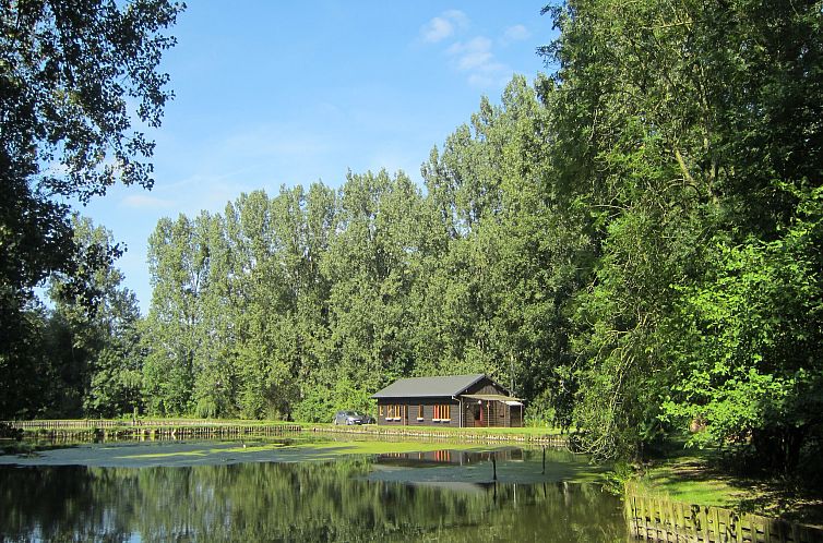 Les Peupliers de la pecherie