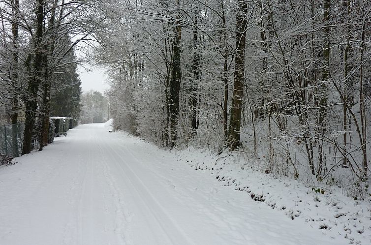 Domaine De L'Ecureuil 3