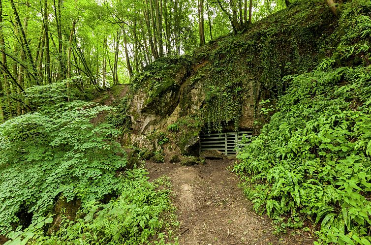 Domaine De L'Ecureuil 4