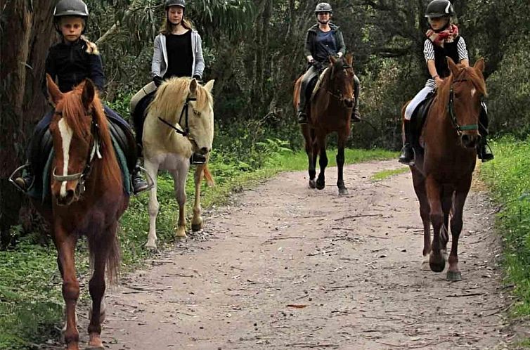 Quinta Pedagógica da Samoqueirinha - Duna Parque Group