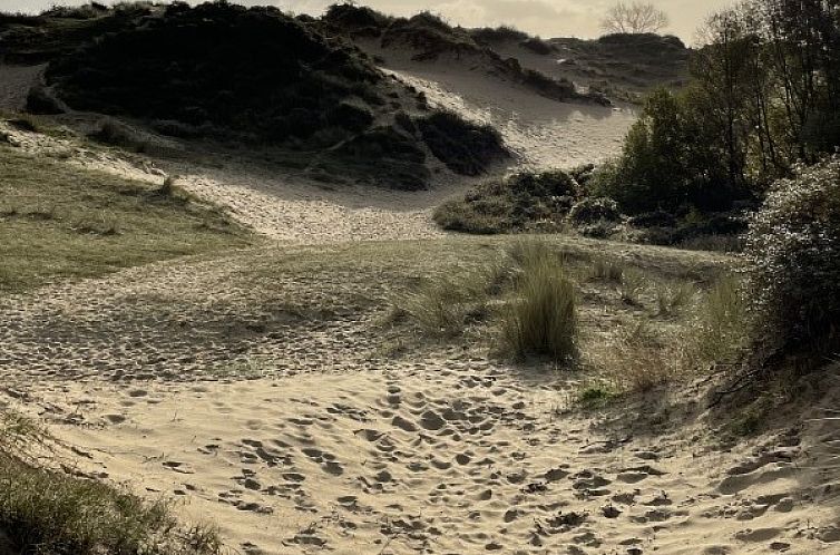 vakantievilla OMAAR aan de duinen