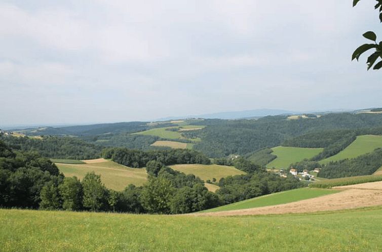 Huisje in Hochneukirchen