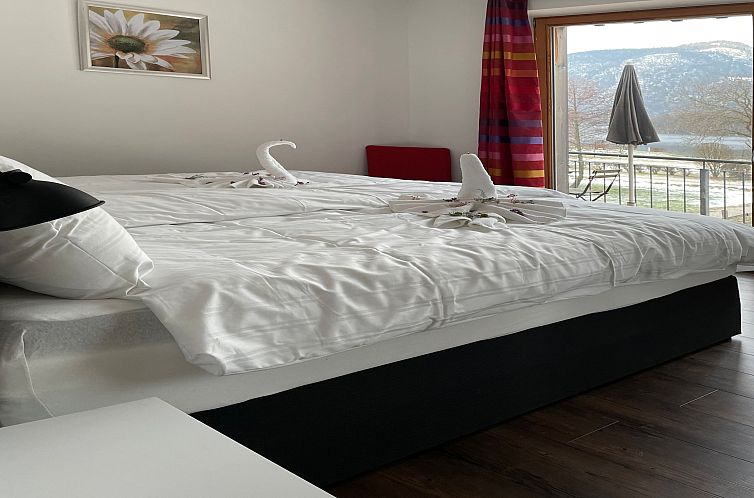 Luxery Salzkammergut Apartment A