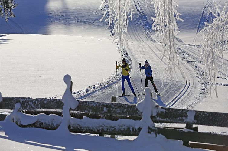 Hallstatt-Dachstein Luxury 4 Gosau