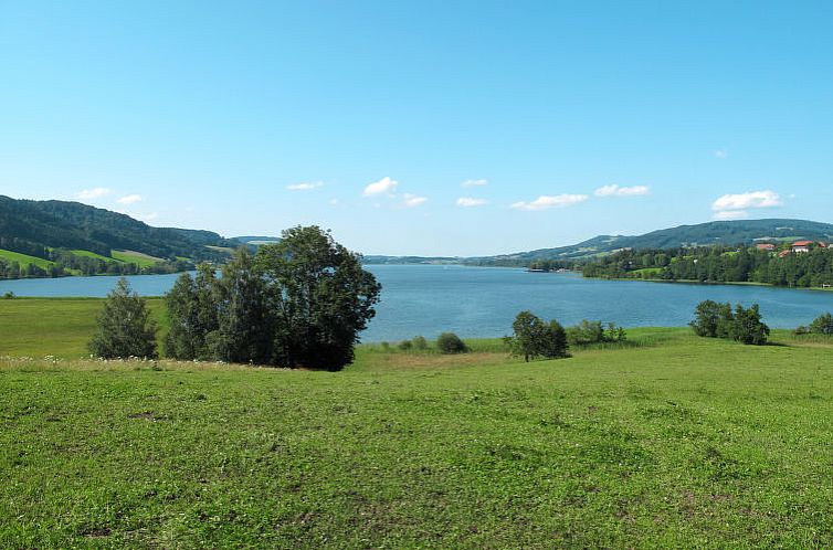 Appartement Waldfrieden