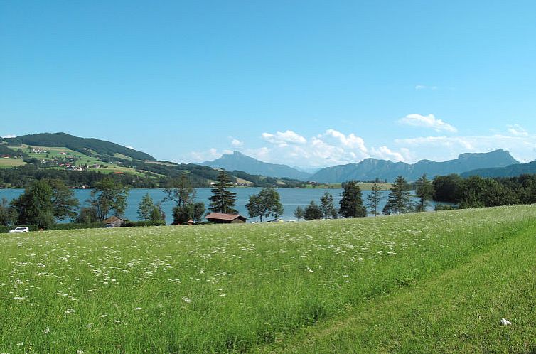 Appartement Waldfrieden