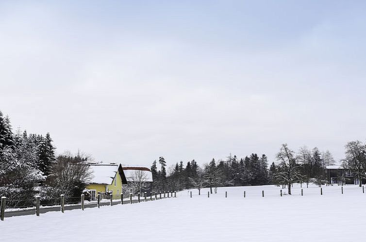 Vakantiehuis große Winten