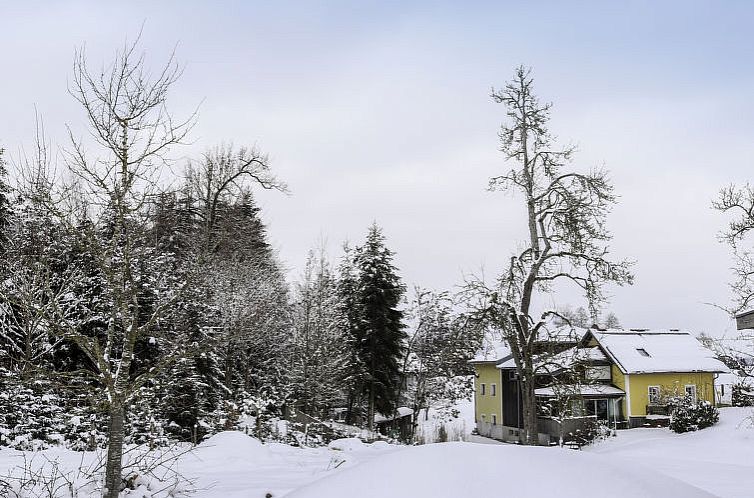 Vakantiehuis kleine Winten