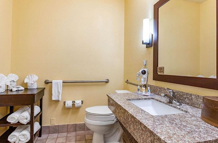 Comfort Suites Houston Galleria