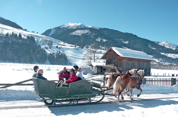 Vakantiehuis Chalet Alpin