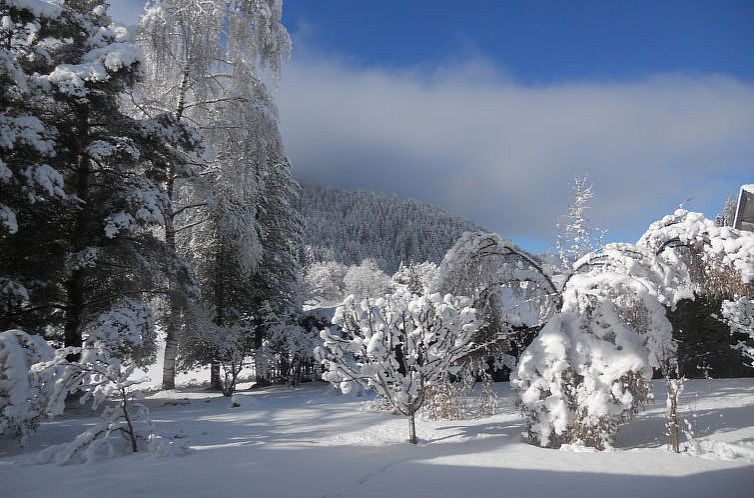 Appartement Wildkogel 2