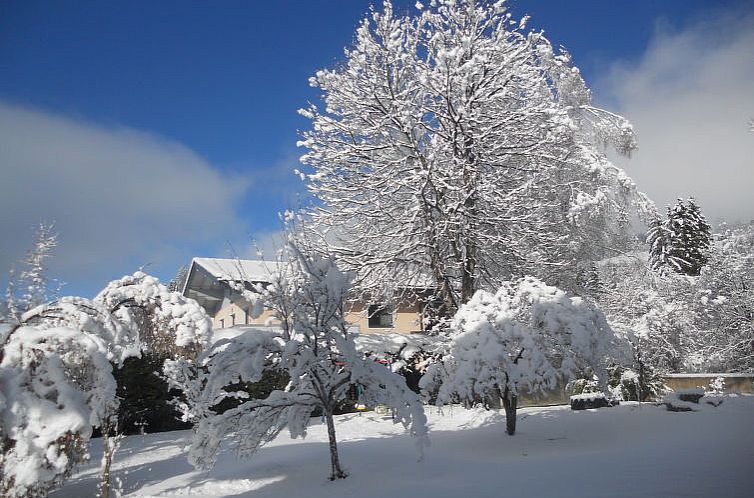 Appartement Wildkogel 2