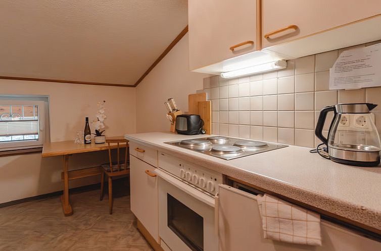 Appartement Wildkogel 1