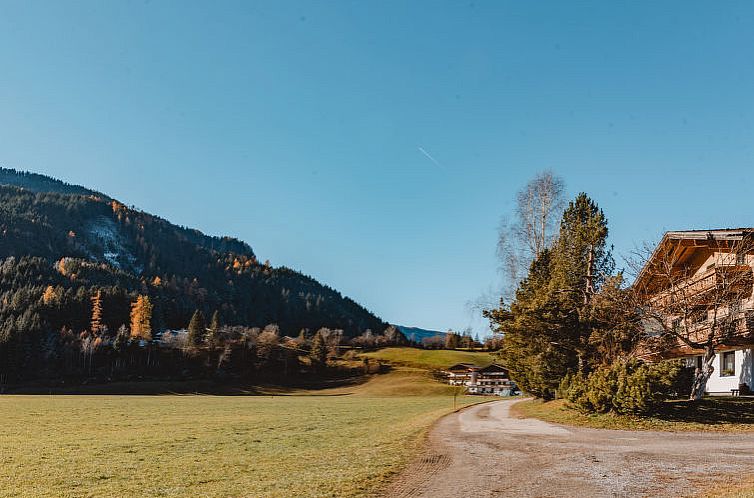 Appartement Wildkogel 1