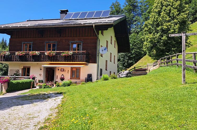 Appartement Dachstein