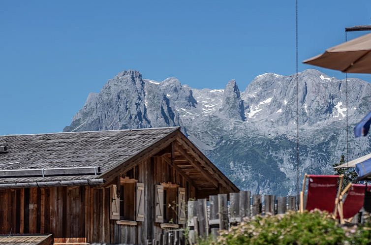 Vakantiehuis Waldkauz groß