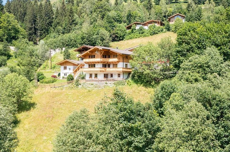 Alpensteinbock Saalbach L