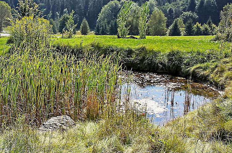 Vakantiehuis Carinthia