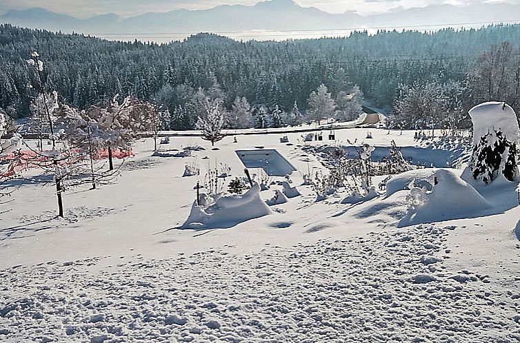 Vakantiehuis Carinthia